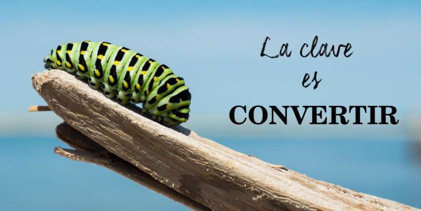 Vatoel Social Media - ¿Cómo optimizar la tasa de conversión de la Web de tu negocio? Vatoel Social Media - ¿Cómo optimizar la tasa de conversión de la Web de tu negocio?