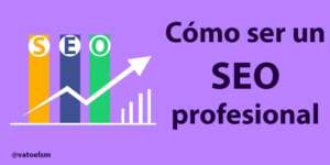 Como ser un SEO profesional en 7 pasos SEO profesional